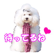 sorakirafan sticker #14325219