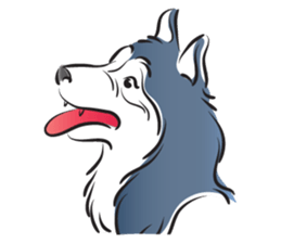 Blue husky sticker #14325237