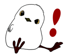 HAPPY BIRDAY sticker #14325415