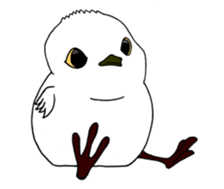 HAPPY BIRDAY sticker #14325417