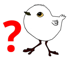 HAPPY BIRDAY sticker #14325418