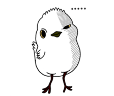 HAPPY BIRDAY sticker #14325419