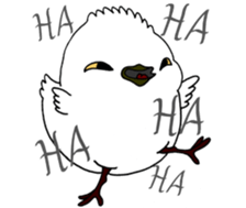 HAPPY BIRDAY sticker #14325420