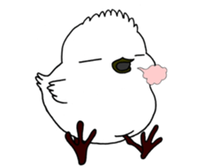 HAPPY BIRDAY sticker #14325421