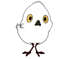 HAPPY BIRDAY sticker #14325422