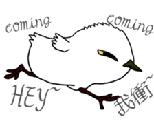 HAPPY BIRDAY sticker #14325426