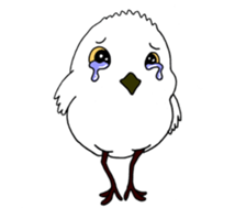 HAPPY BIRDAY sticker #14325428