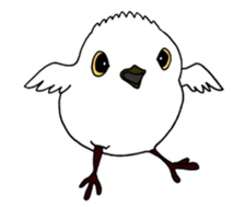 HAPPY BIRDAY sticker #14325431