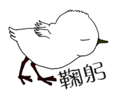 HAPPY BIRDAY sticker #14325432