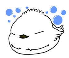 HAPPY BIRDAY sticker #14325435