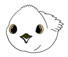 HAPPY BIRDAY sticker #14325436