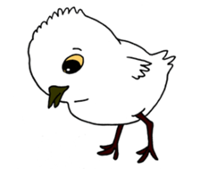 HAPPY BIRDAY sticker #14325437