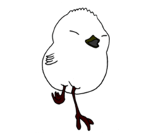 HAPPY BIRDAY sticker #14325440