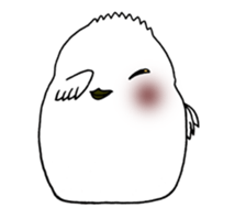 HAPPY BIRDAY sticker #14325441