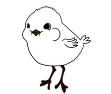 HAPPY BIRDAY sticker #14325445