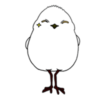 HAPPY BIRDAY sticker #14325446