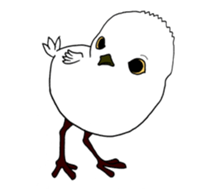 HAPPY BIRDAY sticker #14325450