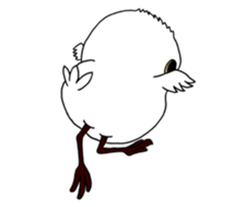 HAPPY BIRDAY sticker #14325451