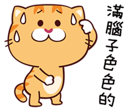naughty kitty sticker #14327409