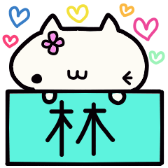 Hayashi's name sticker