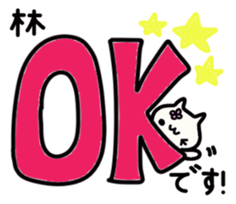 Hayashi's name sticker sticker #14327489