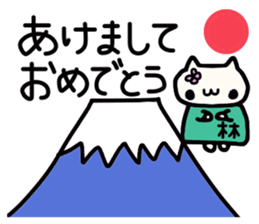 Hayashi's name sticker sticker #14327500