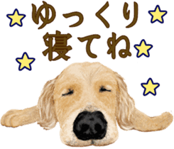 Friendly dog!Golden Retriever sticker #14329374