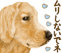 Friendly dog!Golden Retriever sticker #14329375