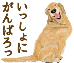 Friendly dog!Golden Retriever sticker #14329376
