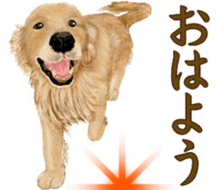 Friendly dog!Golden Retriever sticker #14329378