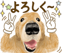 Friendly dog!Golden Retriever sticker #14329379