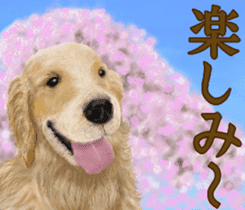 Friendly dog!Golden Retriever sticker #14329381