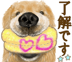 Friendly dog!Golden Retriever sticker #14329383