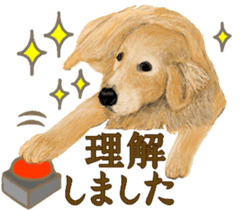 Friendly dog!Golden Retriever sticker #14329385