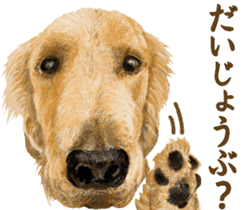 Friendly dog!Golden Retriever sticker #14329388