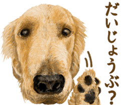 Friendly dog!Golden Retriever sticker #14329388