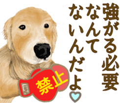 Friendly dog!Golden Retriever sticker #14329390