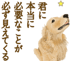 Friendly dog!Golden Retriever sticker #14329391