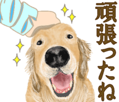 Friendly dog!Golden Retriever sticker #14329392