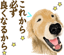 Friendly dog!Golden Retriever sticker #14329393
