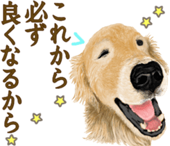 Friendly dog!Golden Retriever sticker #14329393