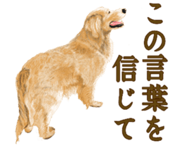Friendly dog!Golden Retriever sticker #14329394
