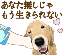 Friendly dog!Golden Retriever sticker #14329395