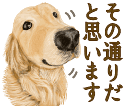 Friendly dog!Golden Retriever sticker #14329398