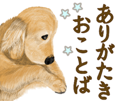 Friendly dog!Golden Retriever sticker #14329399