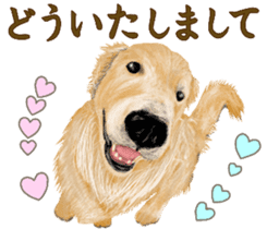 Friendly dog!Golden Retriever sticker #14329400