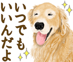 Friendly dog!Golden Retriever sticker #14329403