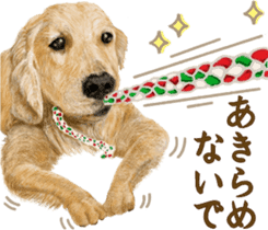 Friendly dog!Golden Retriever sticker #14329405