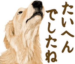 Friendly dog!Golden Retriever sticker #14329406