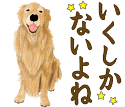 Friendly dog!Golden Retriever sticker #14329407